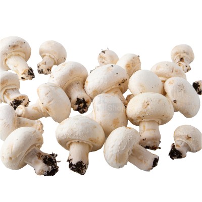 Шампиньоны свежие 500 г - купить в Солянке